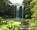 Whangarei falls, NZ